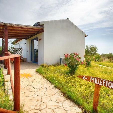 Agriturismo Mieleamaro Villa Olbia Dış mekan fotoğraf