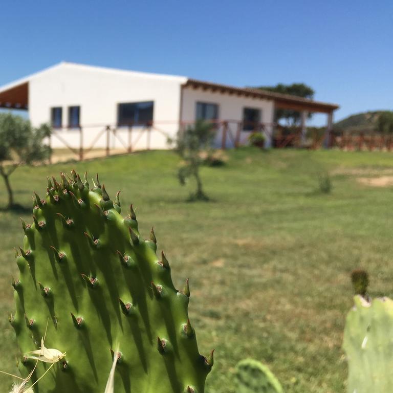 Agriturismo Mieleamaro Villa Olbia Dış mekan fotoğraf